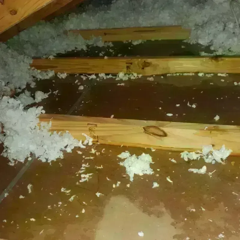 Attic Water Damage in Union County, SC